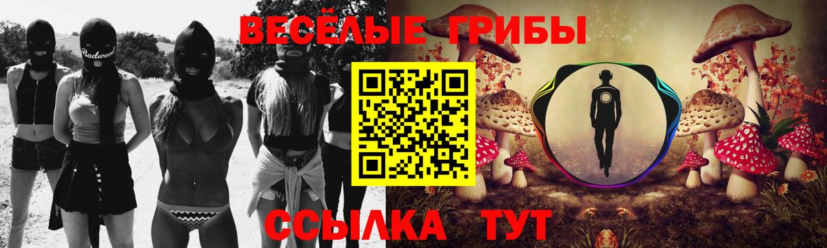 Галлюциногенные грибы Psilocybine cubensis  купить наркотики сайты  Вход с VPN  Похвистнево  Галлюциногенные грибы Magic Shrooms 
